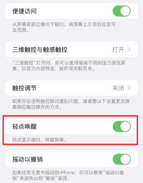 泰顺苹果授权维修站分享iPhone轻点无法唤醒怎么办 