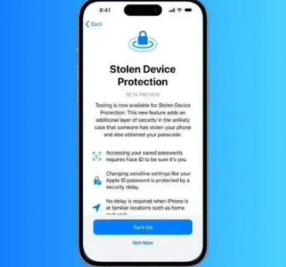 泰顺苹果授权维修店分享被盗设备保护功能开启方法 