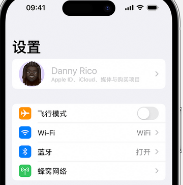 泰顺appleID维修服务iPhone设置中Apple ID显示为灰色无法使用 