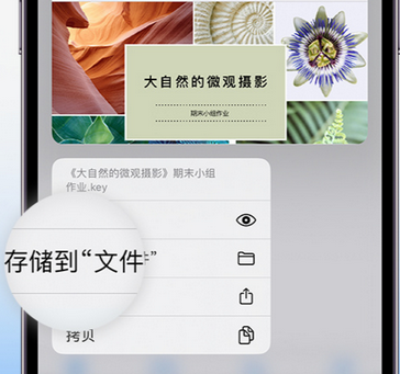 泰顺apple维修中心分享iPhone文件应用中存储和找到下载文件