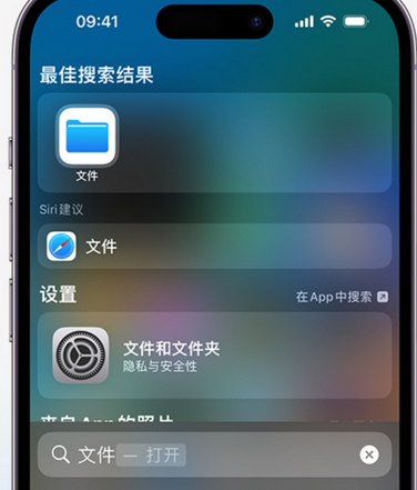 泰顺apple维修中心分享iPhone文件应用中存储和找到下载文件 