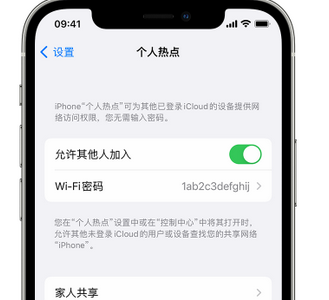 泰顺apple服务站点分享iPhone上个人热点丢失了怎么办