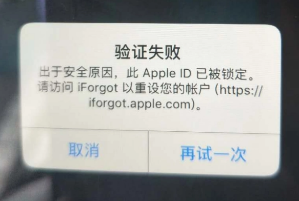 泰顺iPhone维修分享iPhone上正常登录或使用AppleID怎么办 