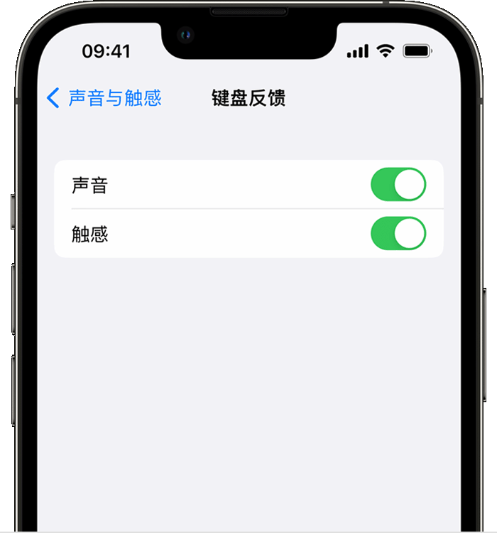 泰顺苹果14维修店分享如何在 iPhone 14 机型中使用触感键盘 