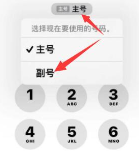 泰顺苹果14维修店分享iPhone 14 Pro Max使用副卡打电话的方法 