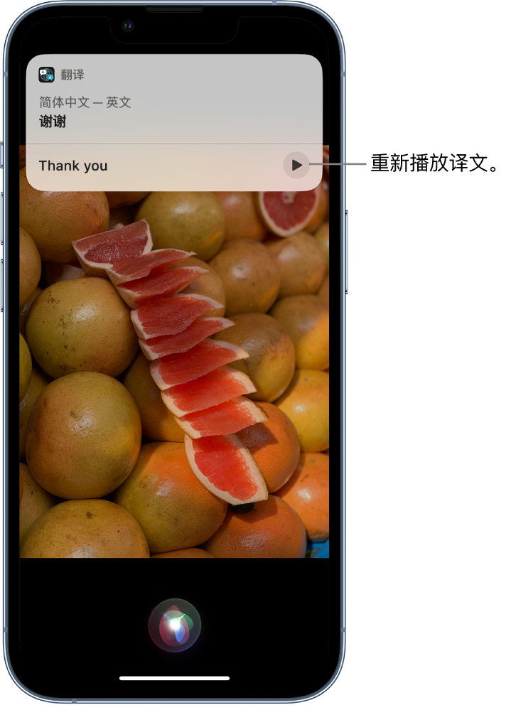 泰顺苹果14维修分享 iPhone 14 机型中使用 Siri：了解 Siri 能帮你做什么 