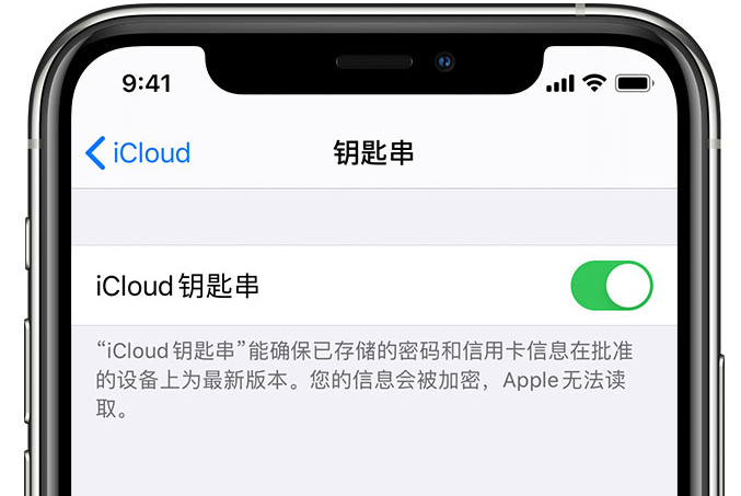 泰顺苹果手机维修分享在 iPhone 上开启 iCloud 钥匙串之后会储存哪些信息 