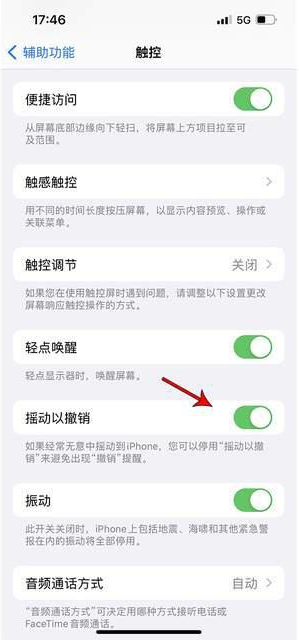 泰顺苹果手机维修分享iPhone手机如何设置摇一摇删除文字 