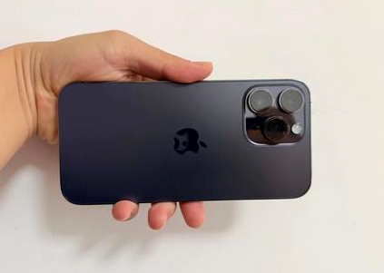 泰顺苹果维修点分享iPhone 14 Pro Max黑屏少见故障盘点 